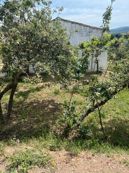 Foto 8ba7ff52-6686-4bc3-97f7-0929326a3144. Finca rústica parcela en zagrilla en Priego de Córdoba