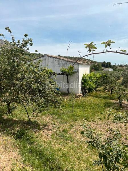 Foto b6f48ea2-4982-44de-b5f0-2b82d94cee7f. Finca rústica parcela en zagrilla en Priego de Córdoba