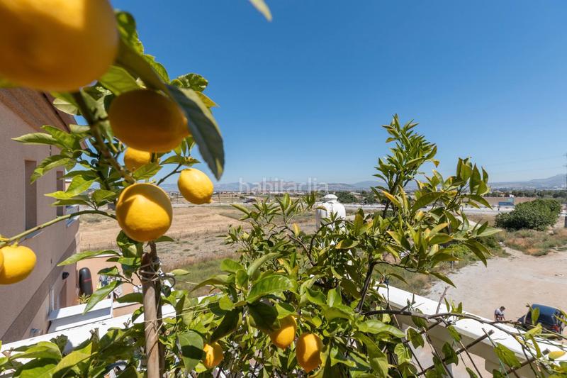 Foto 4d32a344-cdde-4090-8c96-baddb08695dd. Attico in calle alonso de ojeda 7 in Residencial Triana - Barrio Alto Gabias (Las)