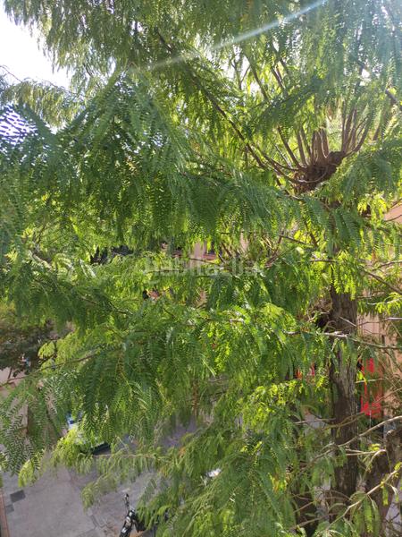 Foto 22217366-5269-4b93-a3a8-3f77f33cfc5c. Haus mit heizung parking in San Ildefonso Granada