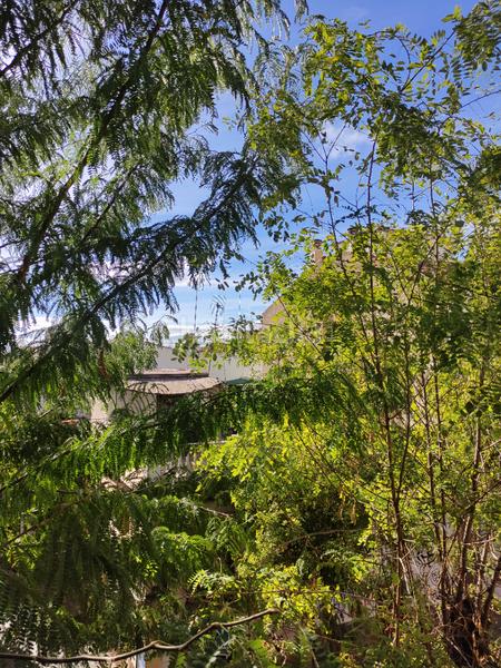 Foto c0125e58-edf1-43c1-b7a1-16f9be27dafe. Haus mit heizung parking in San Ildefonso Granada