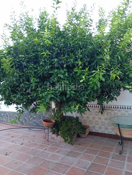 Foto 483db7c4-4d96-4672-af80-65eff00c280b. Casa a schiera con riscaldamento parcheggio in Fuente Vaqueros