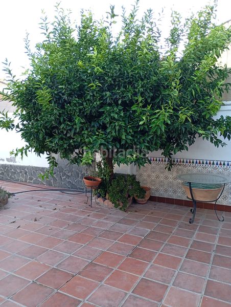 Foto 512f9468-891c-4058-b9f4-079db0ca3402. Casa a schiera con riscaldamento parcheggio in Fuente Vaqueros
