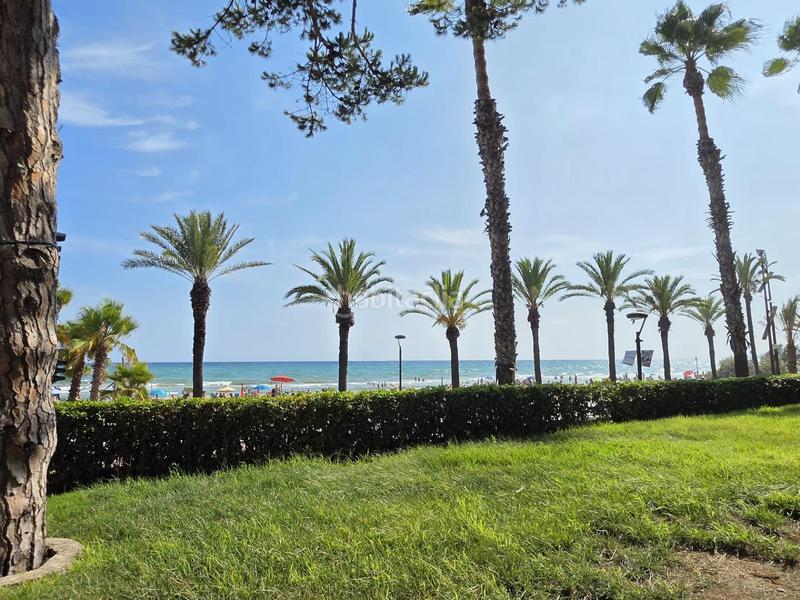 Foto ed0f4c41-bdce-4658-999c-649ead5f10b1. Planta baja magnifica planta baja frontal al mar y jardin privado de 200m en paseo miramar en Salou