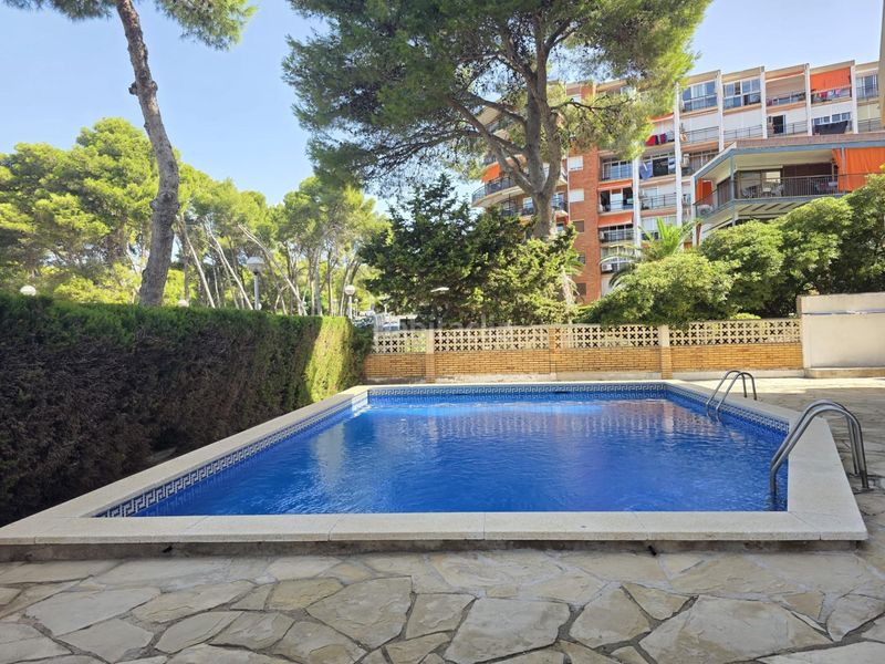 Foto 57eeb026-4d19-4039-bf20-5f1505b3e21e. Apartament amb piscina a pla de maset - cap de Salou Salou