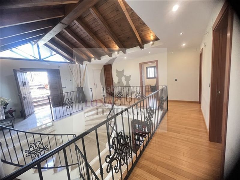 Foto b831e34b-cb23-4b86-91ad-54997852771c. Affitto chalet in urbanización el rosario 466 in El Rosario - Ricmar Marbella