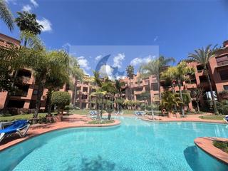 Rent Penthouse in Avenida del gaviero 5. Disponible para alquilar de septiembre a junio - atico duplex en