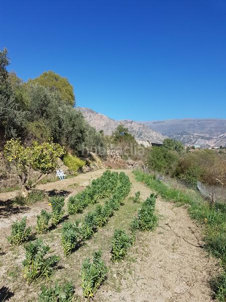 Foto 849bb238-3282-4a74-a4bd-28d1b3bcce28. Finca rústica se vende casa con terreno en durcal en Dúrcal