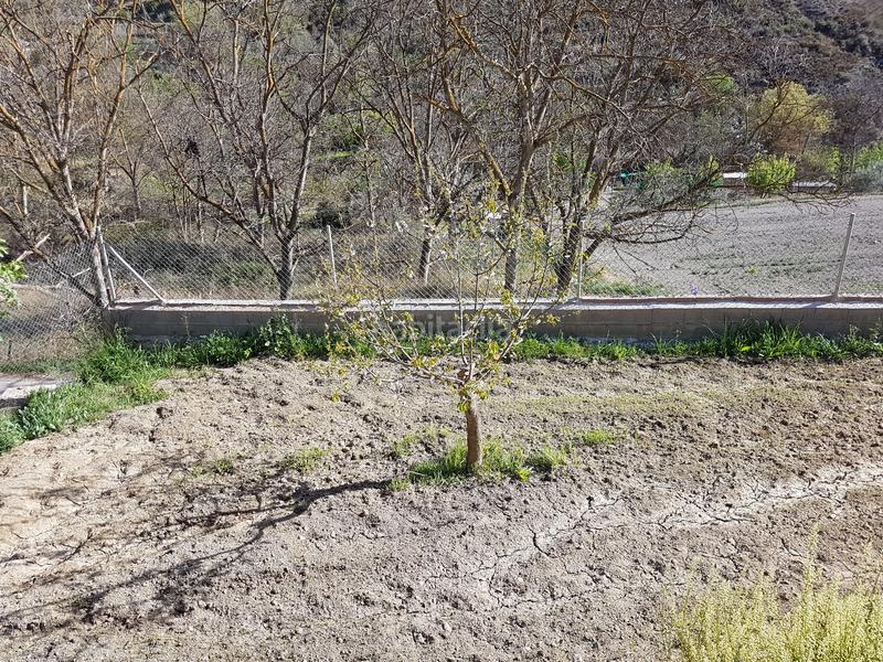 Foto ac58f17b-db55-4484-96b2-f1a08b02d52c. Finca rústica se vende casa con terreno en durcal en Dúrcal