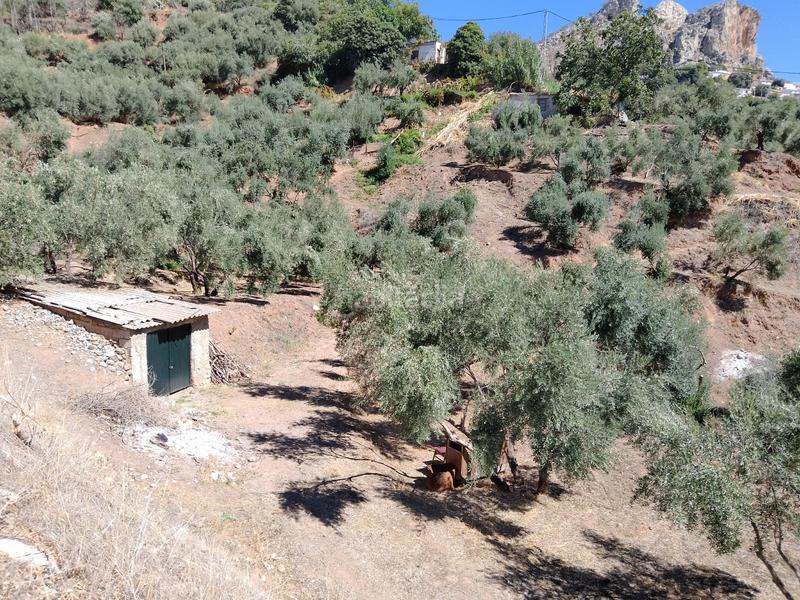 Foto 6b101c8b-999c-4281-9588-9416eeb4175e. Rural plot in Cogollos de la Vega