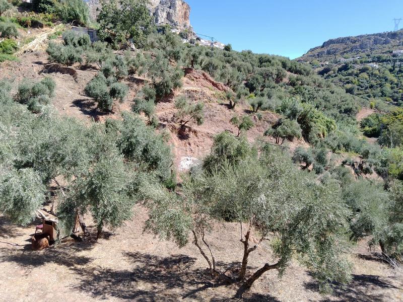 Foto 7f5666bb-f852-41e3-9aac-ab9e34455046. Rural plot in Cogollos de la Vega