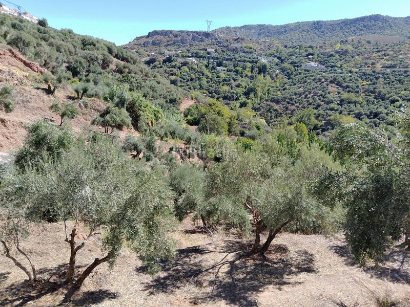 Foto a71c7446-32ac-4f8a-b7b0-cd098e410172. Rural plot in Cogollos de la Vega