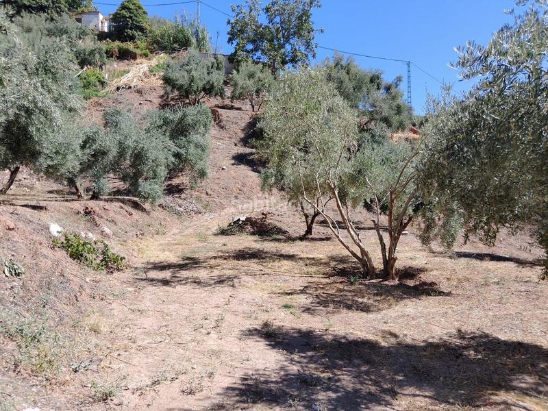 Foto e2e4e5c4-c03d-4b97-8d92-539826ce0608. Rural plot in Cogollos de la Vega