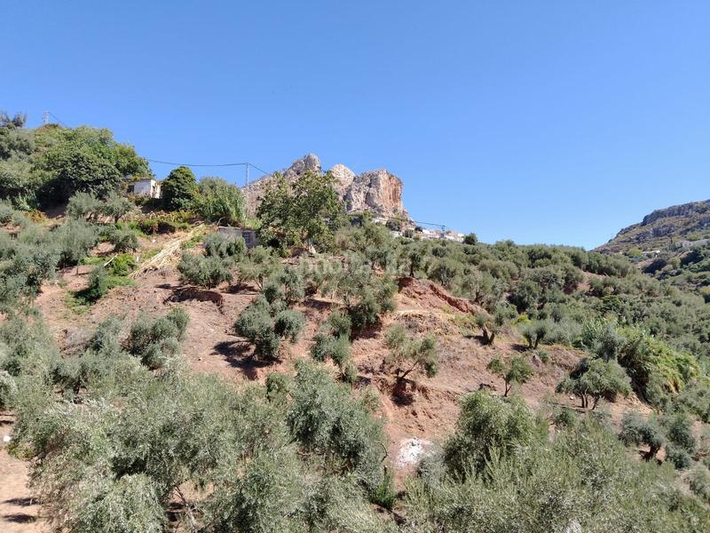 Foto eeb46564-c9e8-4756-9738-c9095fe654f2. Rural plot in Cogollos de la Vega