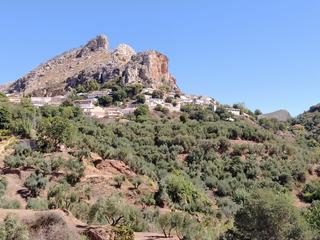 Rural plot  N/a. Se vende parcela en cogollos vega de 500m2