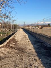 Finca rústica a Pinos Puente