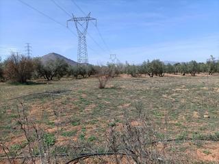 Rural plot in Calle aricel 0
