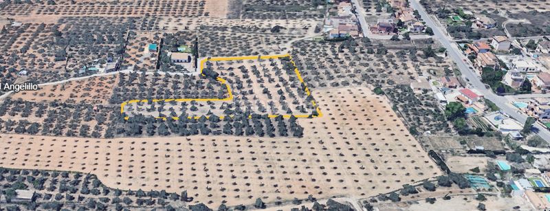 Foto d2079a5d-e0a9-4e48-a0b3-6dfd7f86ecb0. Finca rústica a Albolote