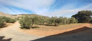 Finca rústica a Albolote