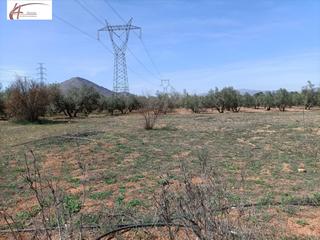 Masia a Albolote. Finca rústica en venta