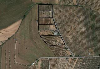 Masia a Albolote. Finca rústica en venta en albolote