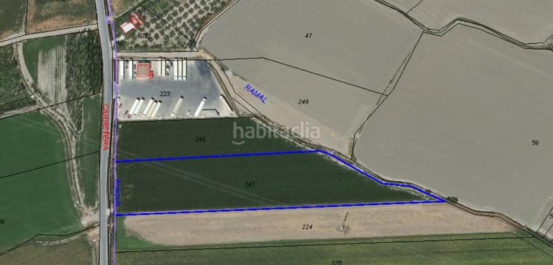 Foto 9c94c522-aab8-42fa-bdb4-f8d4d4b4c046. Rural plot in Rosaleda - Juventud Granada