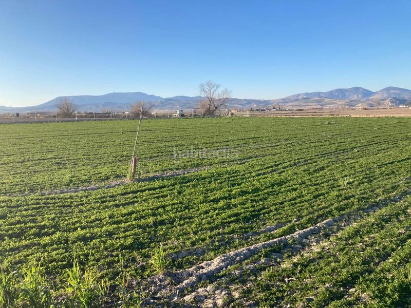 Foto 0026d8aa-e36d-4409-a4a0-b83692a696b0. Fondo rustico in Pinos Puente