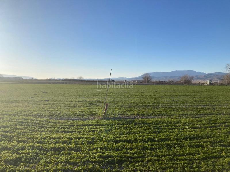 Foto 40acd2f9-5f9a-4dee-bcf4-dd61cfdb1332. Fondo rustico in Pinos Puente