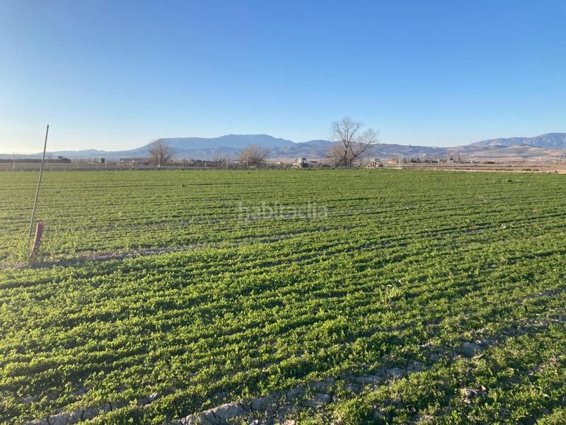 Foto 57cee507-3b0b-4bdb-b374-b2491309d8d6. Fondo rustico in Pinos Puente