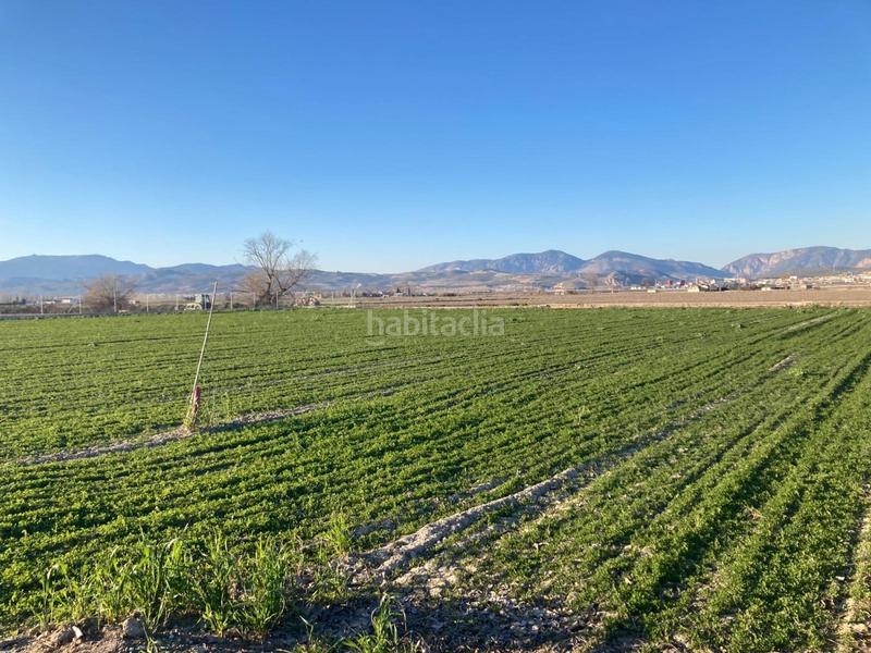 Foto 5d7e9569-2073-496b-a674-140709fa0077. Fondo rustico in Pinos Puente