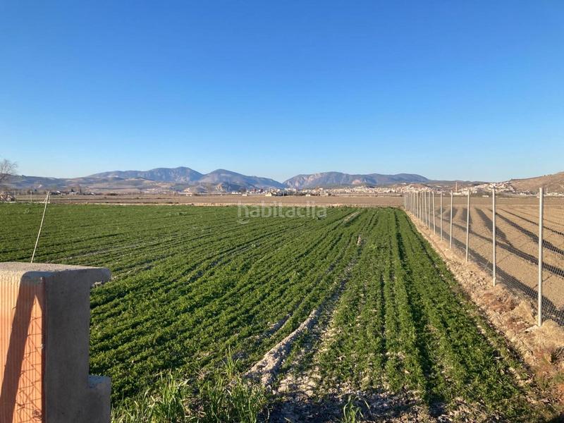 Foto 7604e61b-1a81-445c-9535-4f54c670a381. Fondo rustico in Pinos Puente