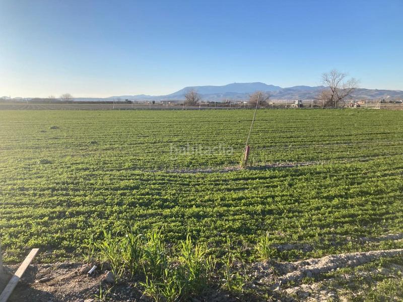 Foto d96c843b-2f1c-4bb0-b680-79b55a7312d5. Fondo rustico in Pinos Puente