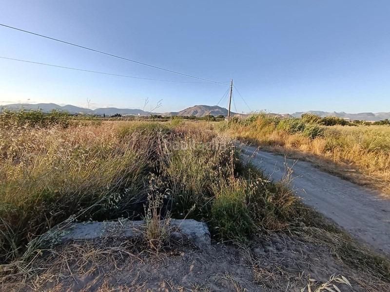 Foto 95d9d07a-04c2-4e8b-b02b-48d474c78f39. Masia amb piscina a Santa Fe