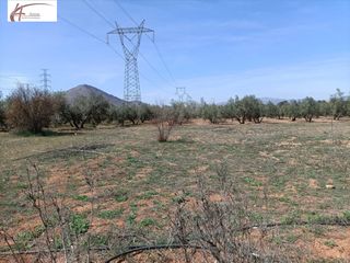 Bauernhof in Albolote. Finca rústica en venta