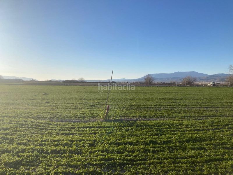 Foto 96c567a3-eb51-4f45-8b08-47ae036932a4. Finca rústica a Pinos Puente