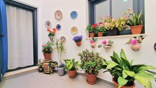 Apartament en Calle goya 3. Vivir en el centro no es un sue�o, es una realidad