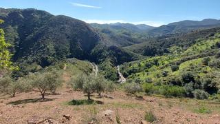 Finca rústica a Monda. Parcela en monda