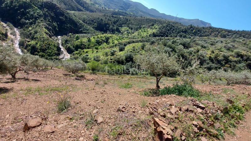 Foto 00fc2e4f-dda6-4a05-97a8-1e12e4c9a994. Landgut in Monda