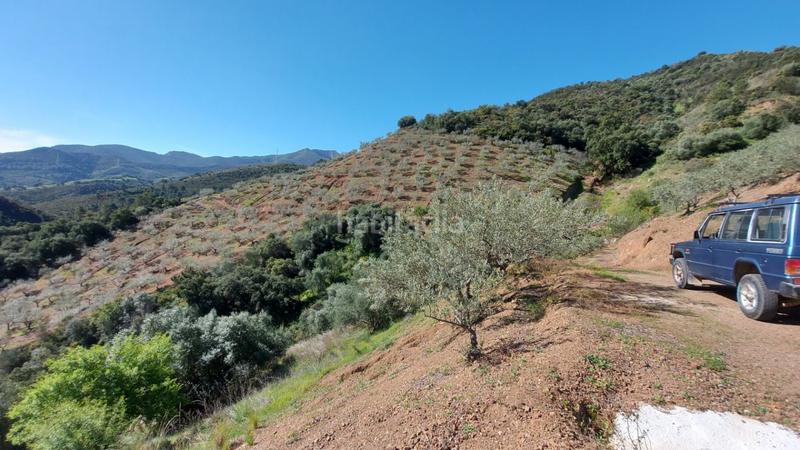 Foto 0508b190-0084-41e3-971e-3b56099fe496. Landgut in Monda