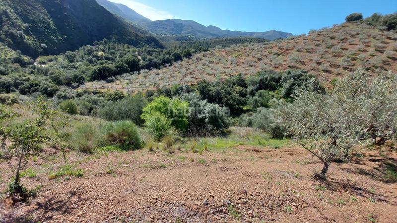 Foto 0c1e7c2f-a108-4c9c-8b1b-18f73f046888. Landgut in Monda