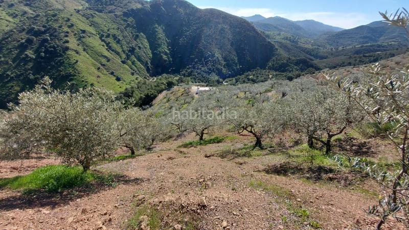 Foto 308877dc-769b-495c-86a6-e5ff920a63f6. Landgut in Monda