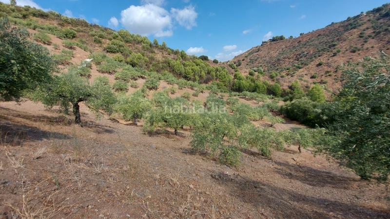 Foto ac746ab1-0a18-407b-97ff-142cae6d2a62. Landgut in Monda