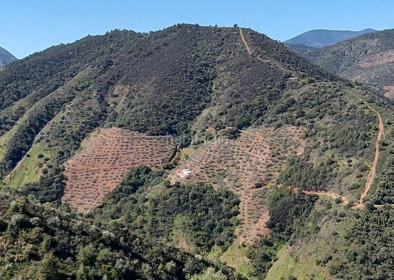 Foto b602efb8-fb95-4a13-bc17-bcf84948a34d. Landgut in Monda