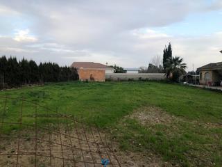 Residential Plot in El Higuerón. Parcela de 1.250 m2 con pozo y posibilidad de luz en majaneque!!