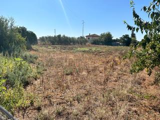 Masía en El Higuerón. Parcela de 4.700 m2 con casa para reformar en ctra. aeropuerto!!