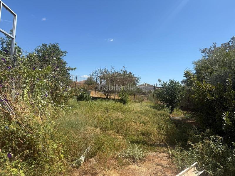 Foto 17e8d255-d682-4904-b677-9c24779d372b. Masia amb piscina a Fátima - Levante Córdoba