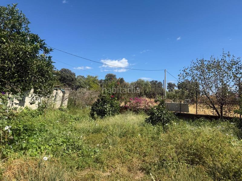 Foto 9367045b-8e61-4cf4-8cad-85d183ae5aec. Masia amb piscina a Fátima - Levante Córdoba