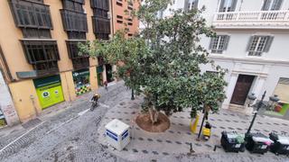 Lloguer Pis  Plaza del teatro. Piso amplio en pleno centro de málaga, amueblado.