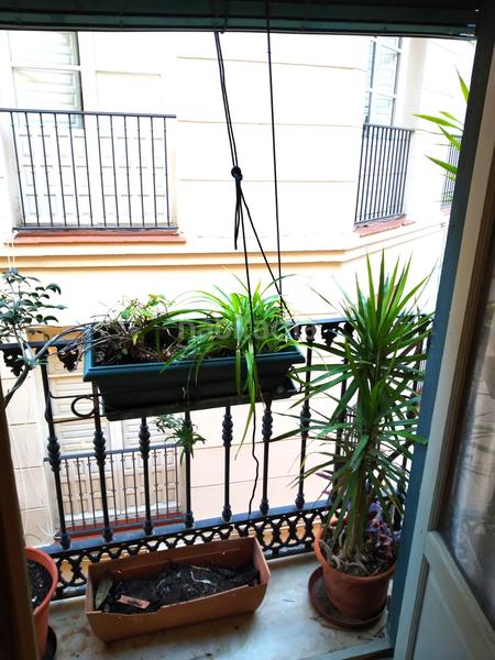 Foto 06c8a983-d9a0-439b-a07a-9614b42f1445. Alquiler apartamento alquiler temporal de 11 meses, apartamento exterior en pleno Centro Histórico. en Málaga