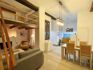 Location Appartement  Ollerias. Alquiler temporal a partir de 6 meses por causa justificada, apa